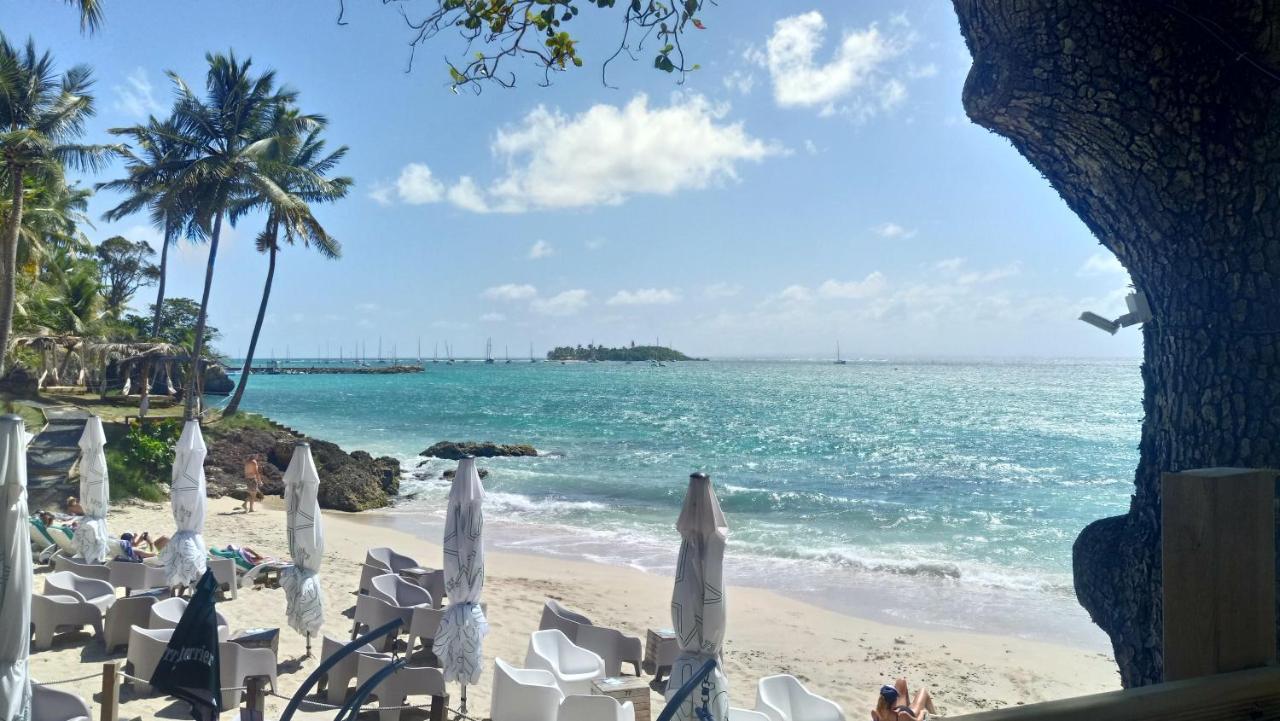 Grand Studio Les Pieds Dans L'Eau, Centre Ville Le Gosier  Eksteriør billede